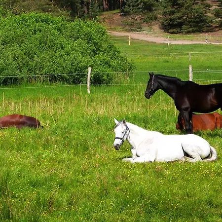 Gaestehaus Liubas Insel *