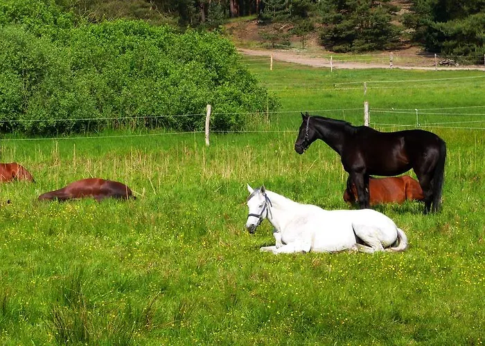 Gaestehaus Liubas Insel *