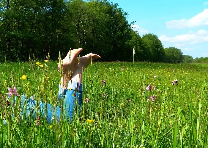 Gaestehaus Liubas Insel